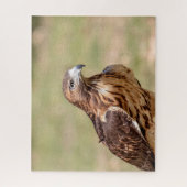 Rotschwanzfalken im Hudson-Tal Puzzle (Vertikal)