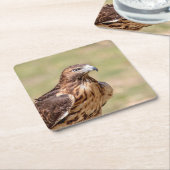 Rotschwanzfalken im Hudson-Tal Rechteckiger Pappuntersetzer (angewinkelt)