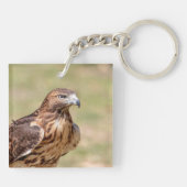 Rotschwanzfalken im Hudson-Tal Schlüsselanhänger (Rückseite)