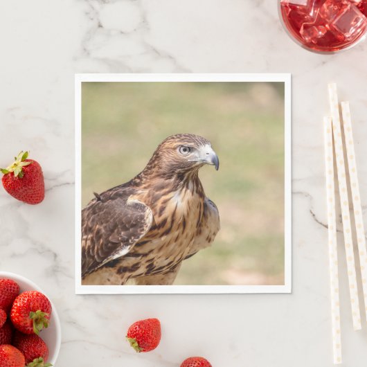 Rotschwanzfalken im Hudson-Tal Serviette (Beispiel)