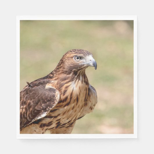 Rotschwanzfalken im Hudson-Tal Serviette (Vorderseite)