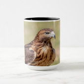 Rotschwanzfalken im Hudson-Tal Tasse (Zentrum)