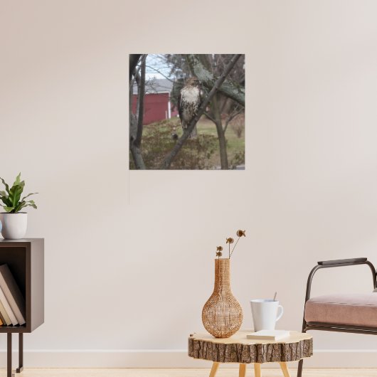 Rotschwanzfalken in Bäumen Poster (Wohnzimmer 3)