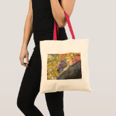 Rotschwanzfalken in der Tasche Herbst. (Vorderseite (Produkt))