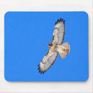 Rotschwanzfalken Mousepad