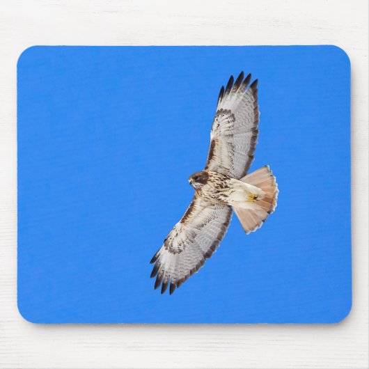 Rotschwanzfalken Mousepad (Vorne)