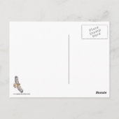Rotschwanzfalken Postkarte (Rückseite)