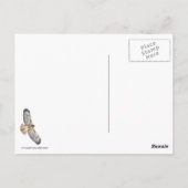 Rotschwanzfalken Postkarte (Rückseite)