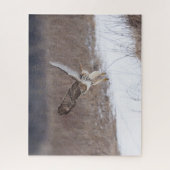 Rotschwanzfalken Puzzle (Vertikal)