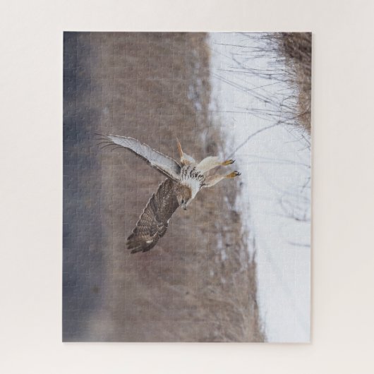 Rotschwanzfalken Puzzle (Vertikal)