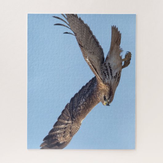 Rotschwanzfalken Puzzle (Vertikal)