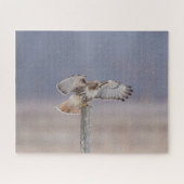 Rotschwanzfalken Puzzle (Horizontal)