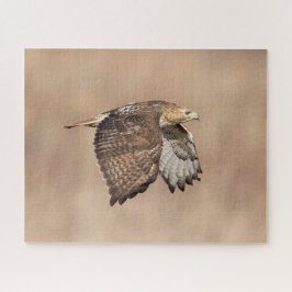 Rotschwanzfalken Puzzle