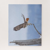 Rotschwanzfalken Puzzle (Vertikal)