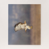 Rotschwanzfalken Puzzle (Vertikal)