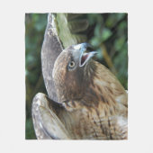 Rotschwanzfalken-Raptor-Foto Fleecedecke (Vorderseite)