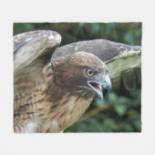 Rotschwanzfalken-Raptor-Foto Fleecedecke (Vorderseite (Horizontal))