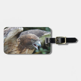 Rotschwanzfalken-Raptor-Foto Gepäckanhänger