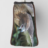 Rotschwanzfalken-Raptor-Foto Golf Headcover (Rotieren 90)