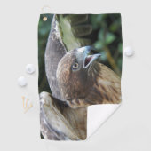 Rotschwanzfalken-Raptor-Foto Golfhandtuch (Insitu)