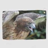Rotschwanzfalken-Raptor-Foto Golfhandtuch (Horizontal)
