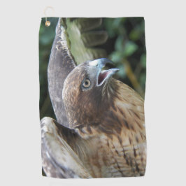 Rotschwanzfalken-Raptor-Foto Golfhandtuch