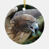 Rotschwanzfalken-Raptor-Foto Keramik Ornament (Vorne)