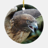 Rotschwanzfalken-Raptor-Foto Keramik Ornament (Hinten)