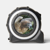 Rotschwanzfalken-Raptor-Foto Maßband (Vorderseite)