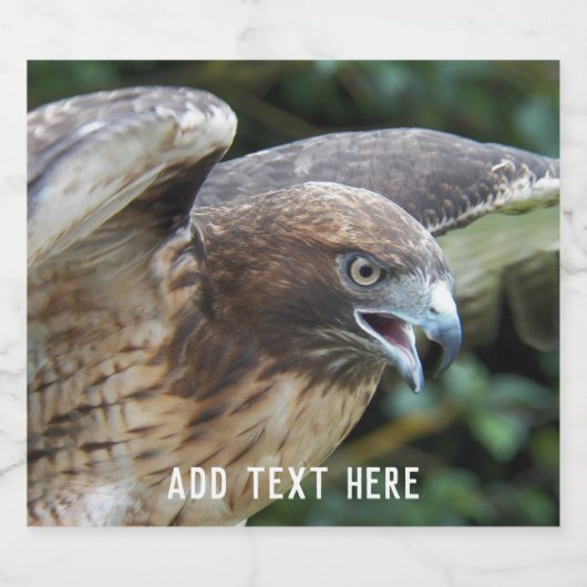 Rotschwanzfalken-Raptor-Foto Personalisiert Bierflaschenetikett (Einzelnes Label)