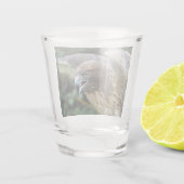 Rotschwanzfalken-Raptor-Foto Schnapsglas (Rückseite)