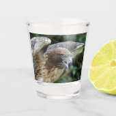 Rotschwanzfalken-Raptor-Foto Schnapsglas (Vorderseite)