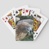 Rotschwanzfalken-Raptor-Foto Spielkarten (Rückseite)