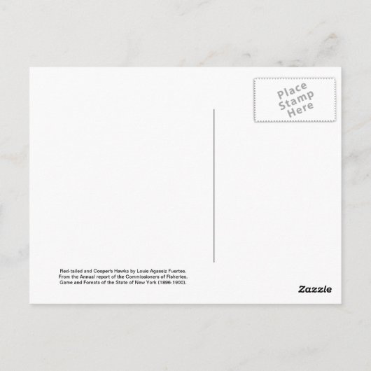 Rotschwanzfalken und Cooper-Falken Postkarte (Rückseite)