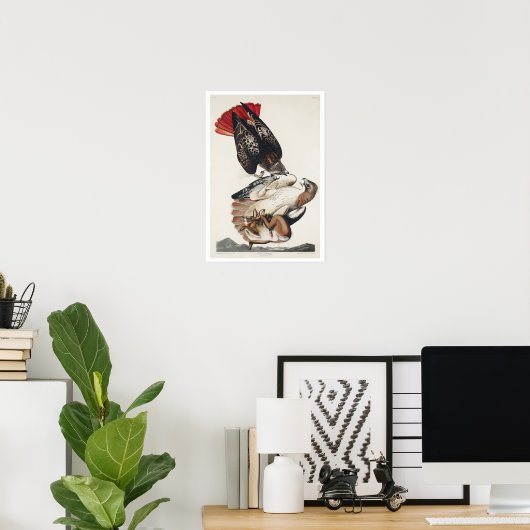 Rotschwanzfalken von Audubon Poster (Heimbüro)
