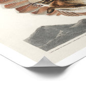 Rotschwanzfalken von Audubon Poster (Ecke)