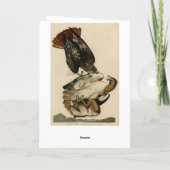 Rotschwanzfalken von Audubons Vögeln in Amerika Karte (Rückseite)