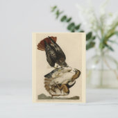 Rotschwanzfalken von Audubons Vögeln in Amerika Postkarte (Stehend Vorderseite)