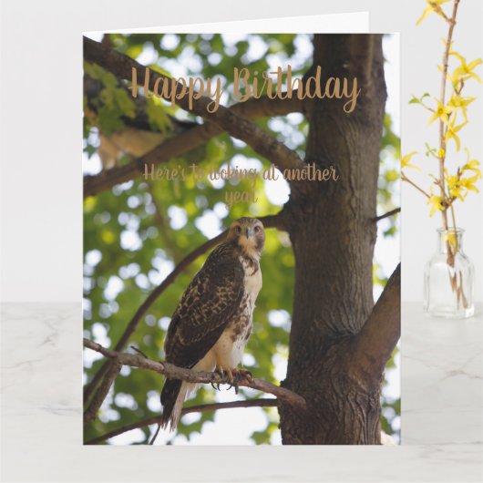 Rotschwanzfalkenkarte Karte (Gelbe Blume)