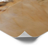 Rotschwanzfalkenportrait Poster (Ecke)