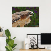 Rotschwanzfalkenportrait Poster (Heimbüro)