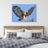 Rotschwanzfalkenweide Landing Stretch Canvas Print Leinwanddruck (Insitu (Schlafzimmer))