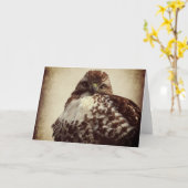 Rotschwanzfalkkarte Karte (Gelbe Blume)