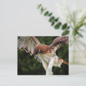 Rotschwanzfalkkarte Postkarte (Stehend Vorderseite)