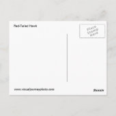 Rotschwanzfalkkarte Postkarte (Rückseite)