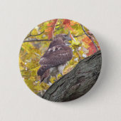 Rotschwanzfalkknopf Button (Vorderseite)