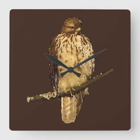 Rotschwanzfalkuhr Quadratische Wanduhr (Vorderseite)