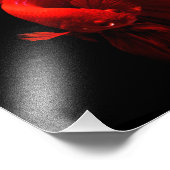 Rotschwanzfisch Fotodruck (Ecke)