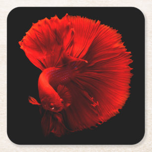 Rotschwanzfisch Rechteckiger Pappuntersetzer