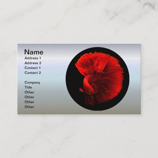 Rotschwanzfisch Visitenkarte (Vorderseite)